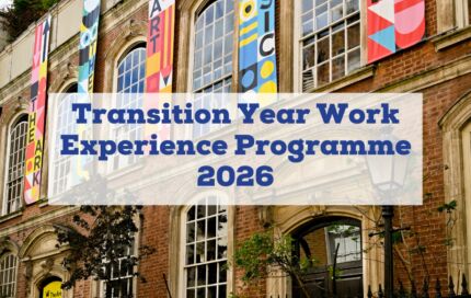 The Transition Year Work Experience Programme at The Ark is returning Spring 2026