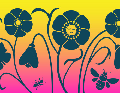 1540X840 Springtime