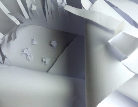 Seedlings   June 18 Paper Playground