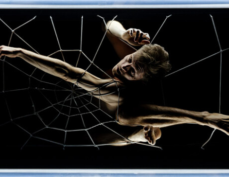 Hocus Pocus At The Ark For Dublin Dance Festival