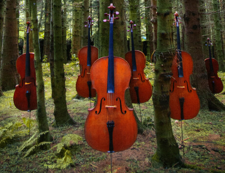 Cellofest