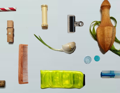 Seedlings Mini Museum Of Marvellous Stuff At The Ark 2