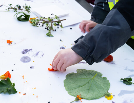 Ark Community Garden 37