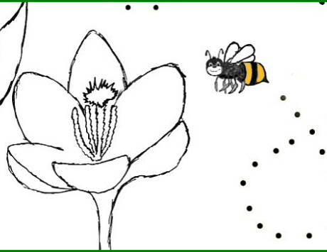 Beatrice The Bee With Border