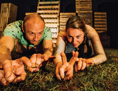 Grass At The Ark For Dublin Theatre Festival