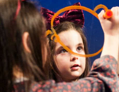 Look At Me At The Ark