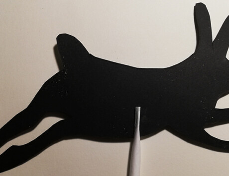Rabbit Shadow 770X420