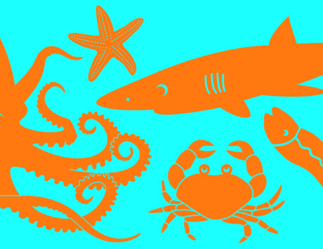 Sea Website 1540X840 Sea Website 1540X840
