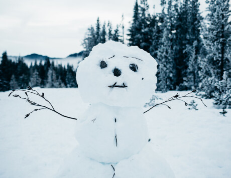 Seedlings Ff 1440X840