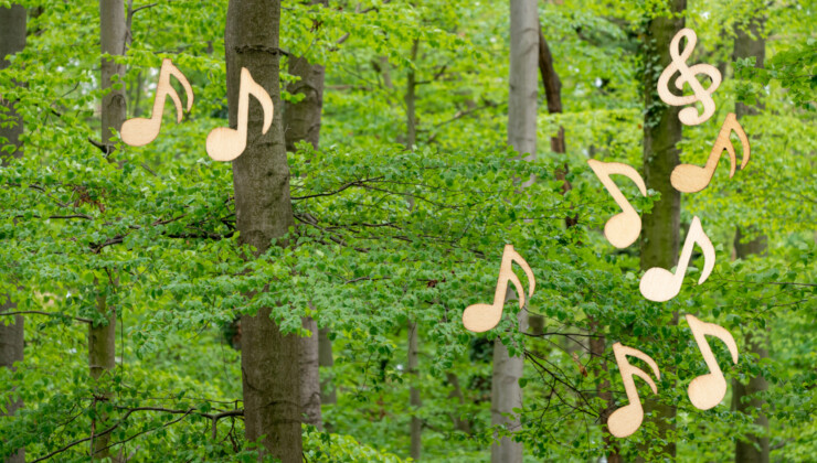 Cóir na Coille | Choir of Trees, a bilingual music workshop