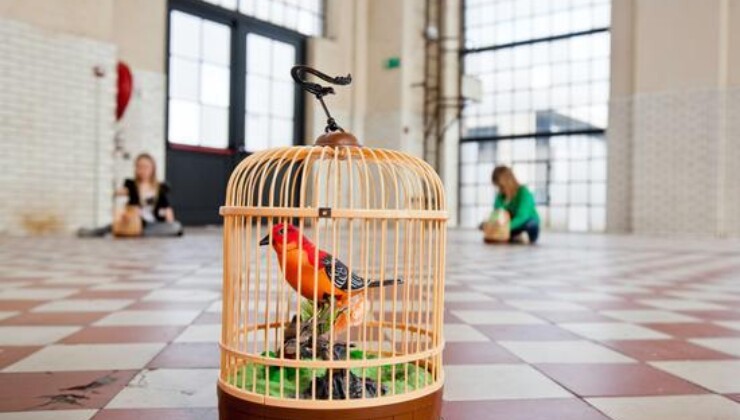 Interactive Installation: These Birds are Flying to the North