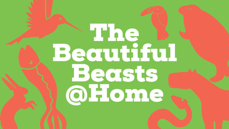 The Beautiful Beasts @ Home