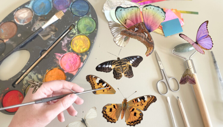 Early Years Workshops: The Butterfly Doctor