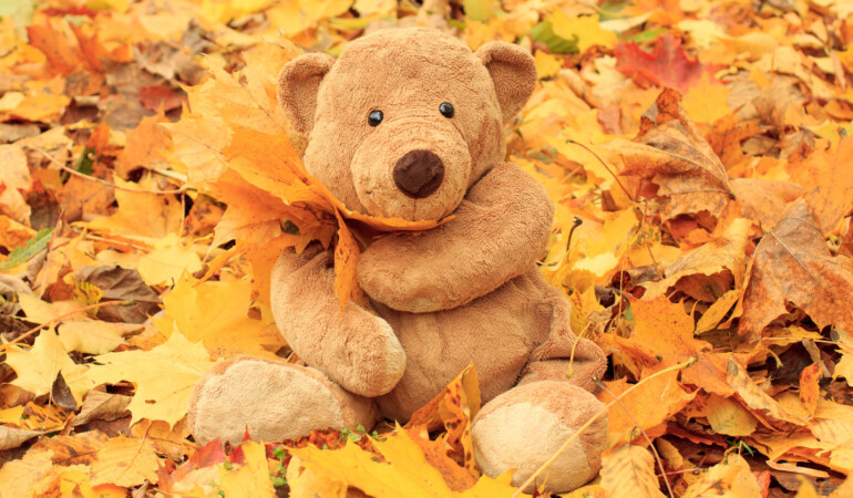 Early Years Workshops: The Adventure of the Curious Bear