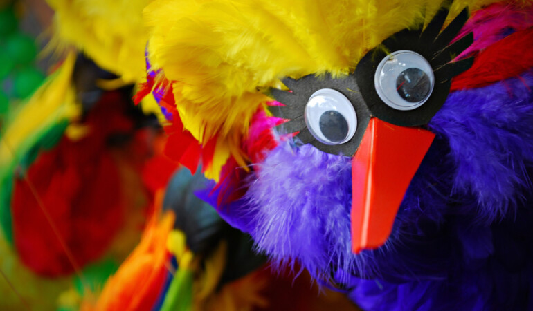 Baby Workshop: Carlotta the Colourful Rainbow Bird