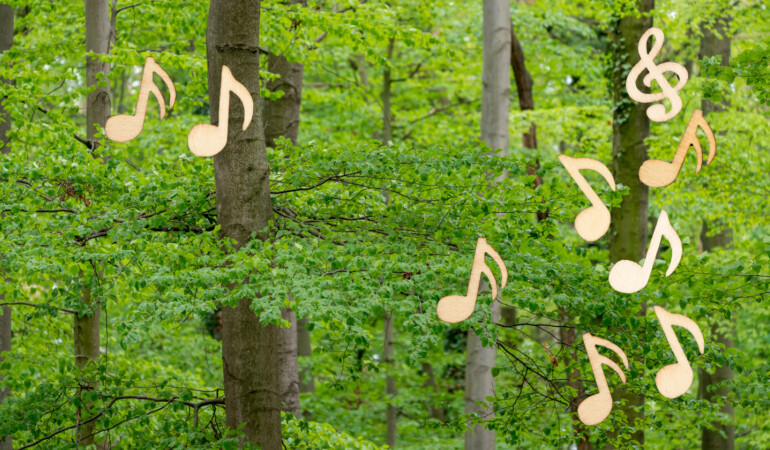 Cóir na Coille | Choir of Trees, a bilingual music workshop
