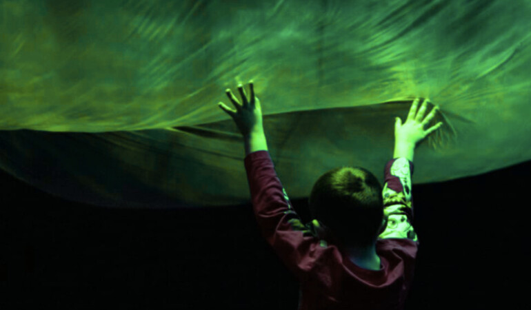 Schools Workshop: Wild Wonders - A Sensory Dance