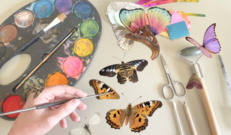 Early Years Workshops: The Butterfly Doctor
