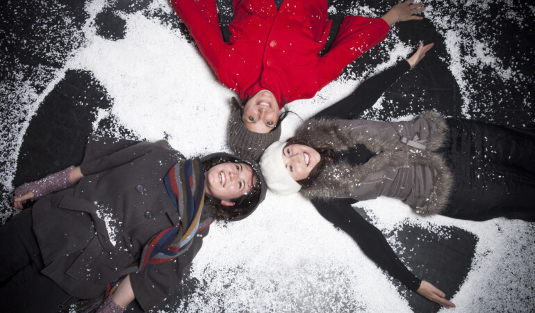 Tracks in the Snow: The Henry Girls in Concert