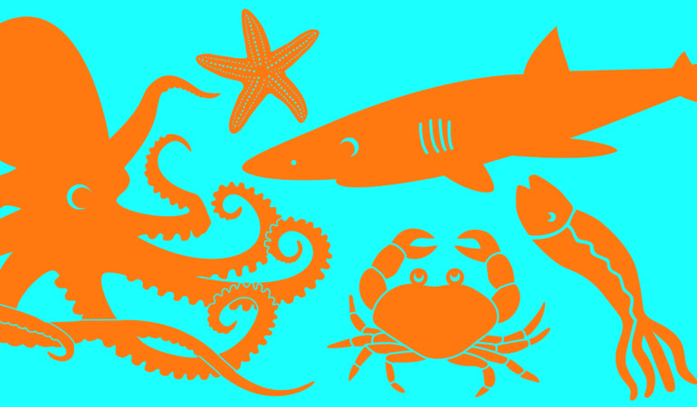 Under Water Moves: Online Early Years Dance Workshops