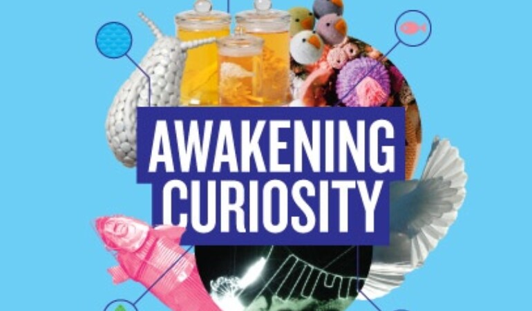Awakening Curiosity for Families