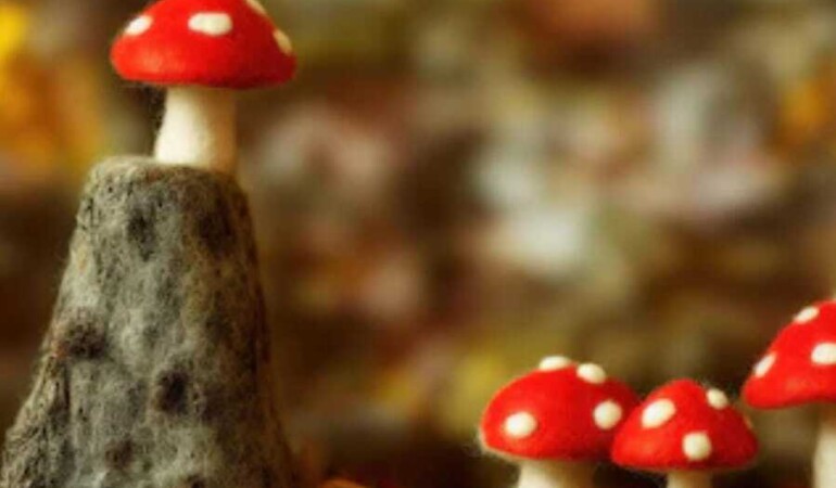 Craft Workshops: Funky Fungi